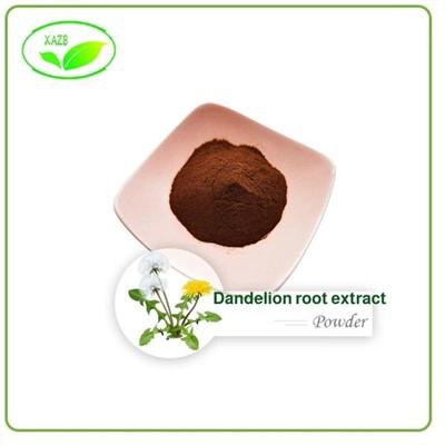 Dandelion Extract Powder